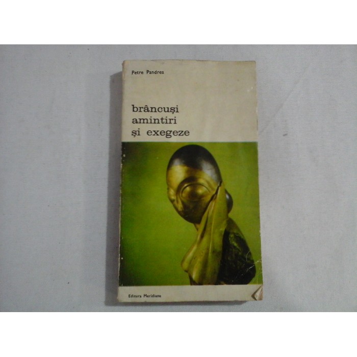 BRANCUSI AMINTIRI SI EXEGEZE - PETRE PANDREA